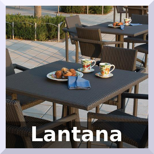 Lantana Collection