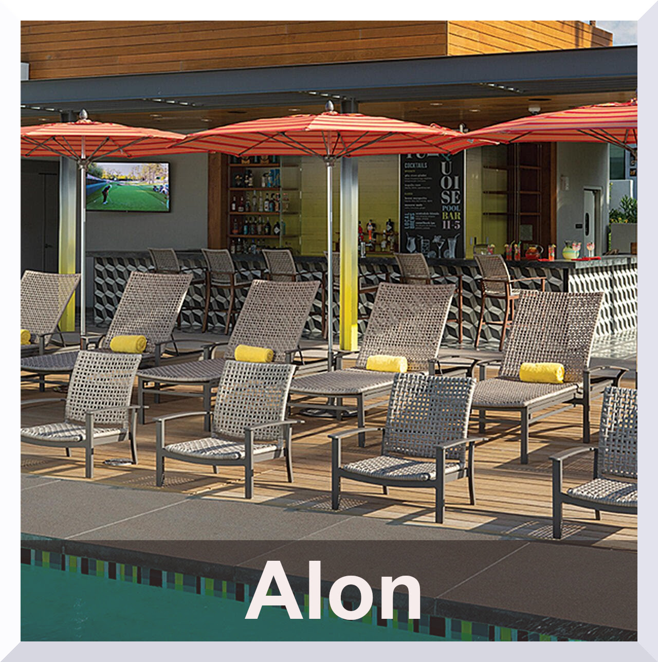 Alon Collection