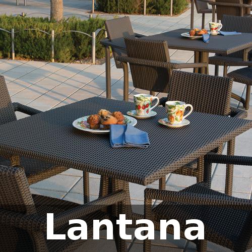 Lantana Collection
